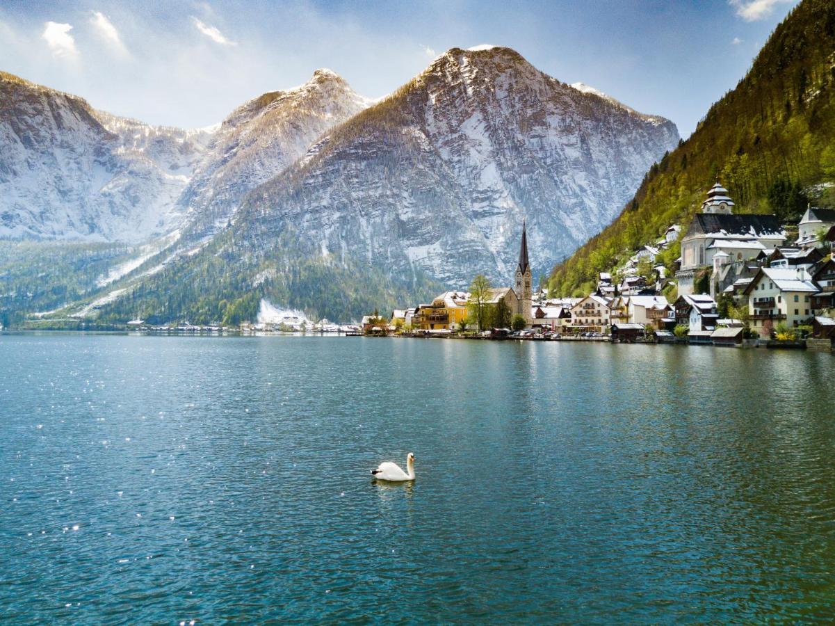 Appartement Dachstein Obertraun